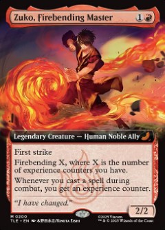 Zuko, Firebending Master Avatar- The Last Airbender Eternal Bordless